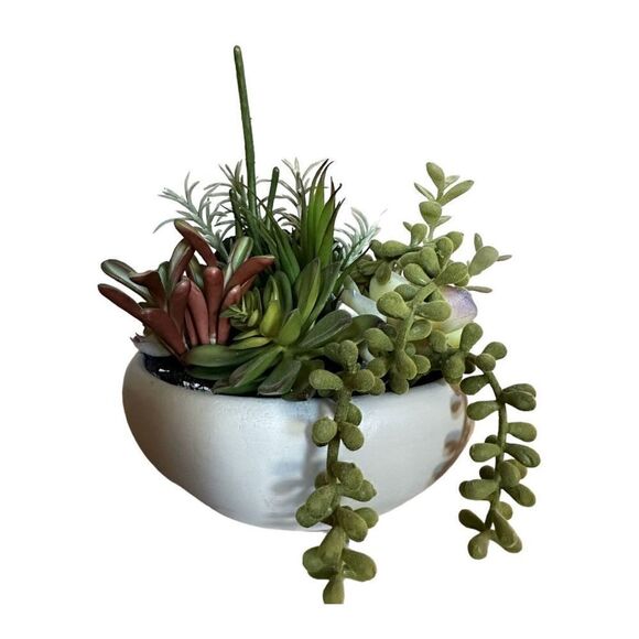 Project 62 Artificial Succulent Plant - Picture 4 of 4